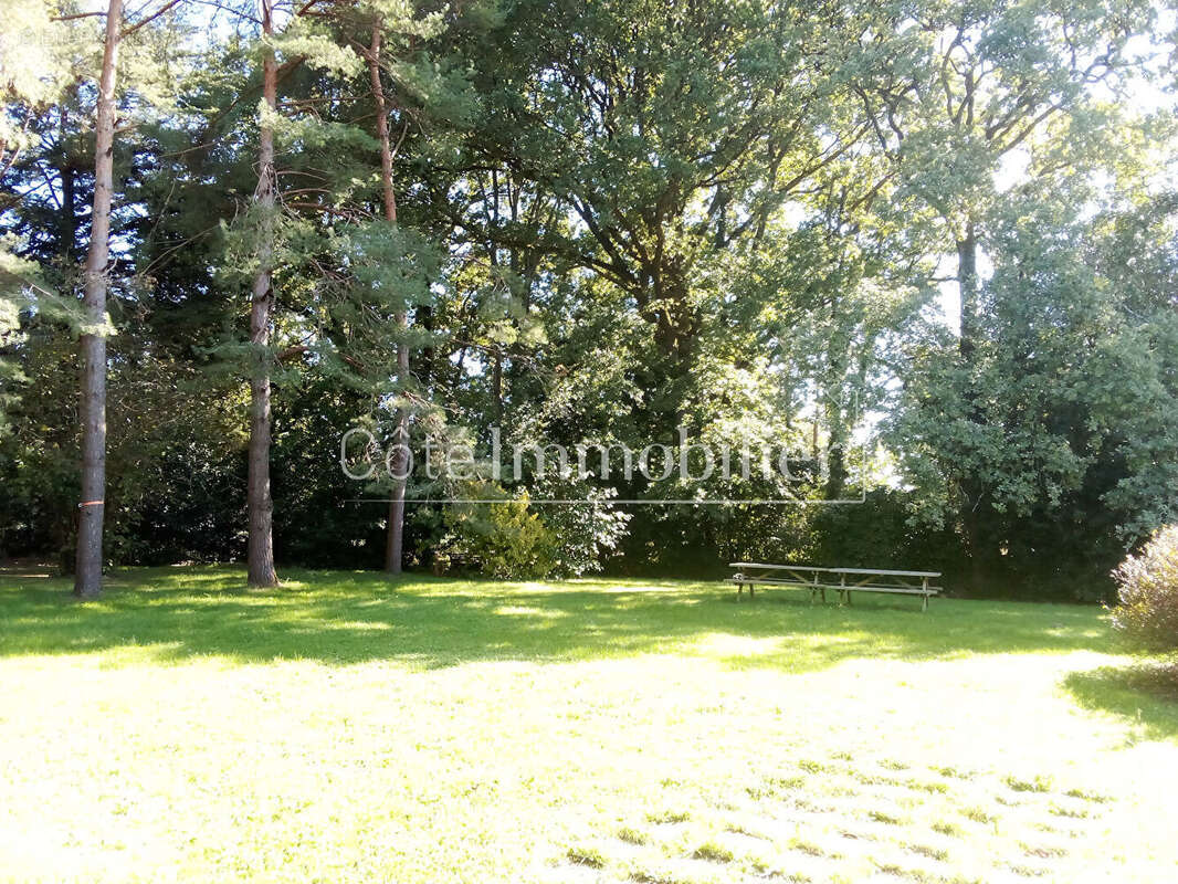 Chaumes en retz - 6 chambres - photo 8