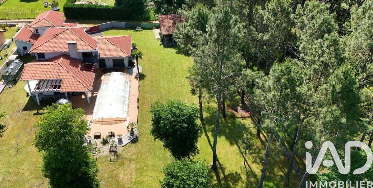 Maison 260 m² à Parentis-En-Born  - photo 3