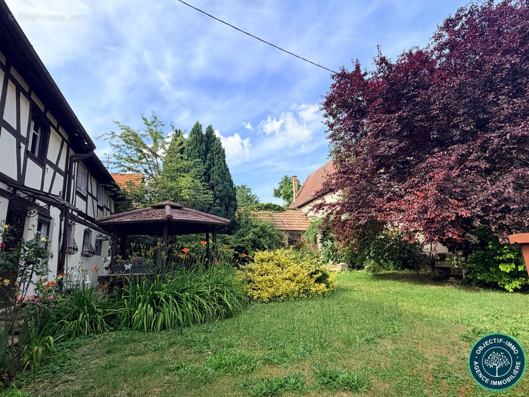 COUP DE CŒUR AU KOCHERSBERG — Authentique corps de ferme alsacien sur 14,93 ares - photo 8