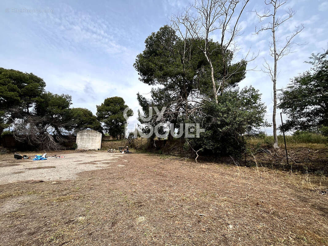 Maison à VILLENEUVE-DE-LA-RAHO