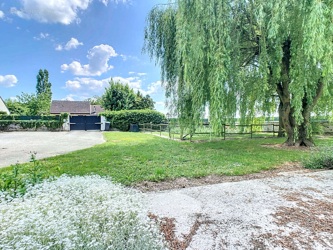 Maison à MONTMIRAIL