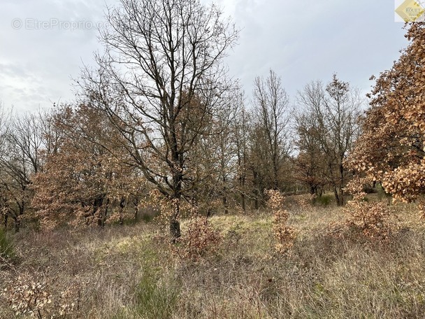 Terrain à YZEURES-SUR-CREUSE