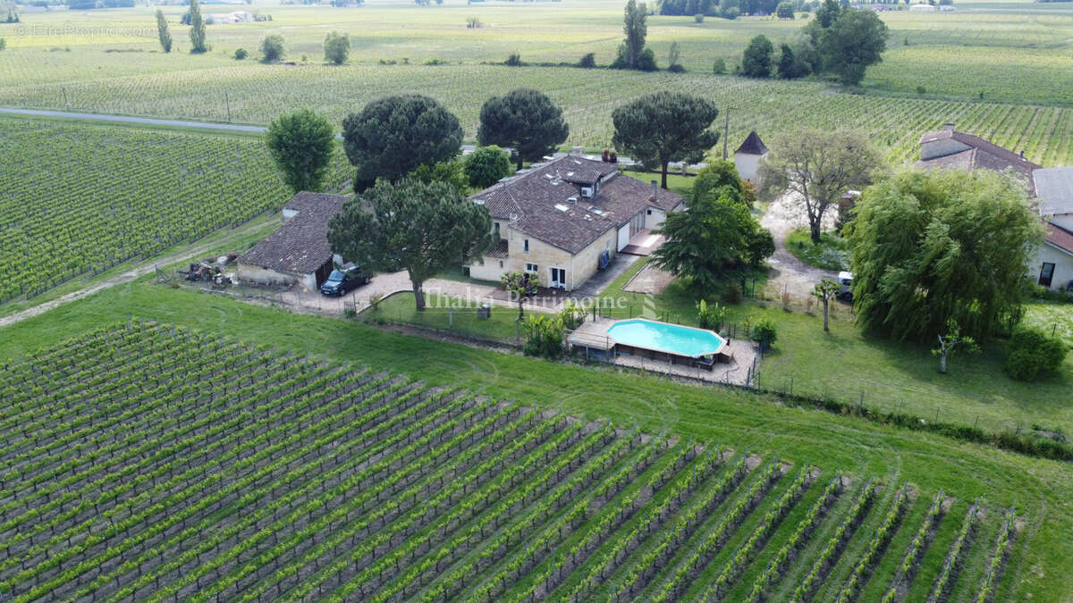 Propriete saint emilion. 380 m2 de surface habitable et 2800 m2 de terrain avec piscine - photo 8