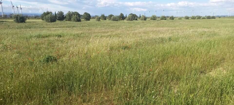 Terrain 444 m² à Cruscades  - photo 2