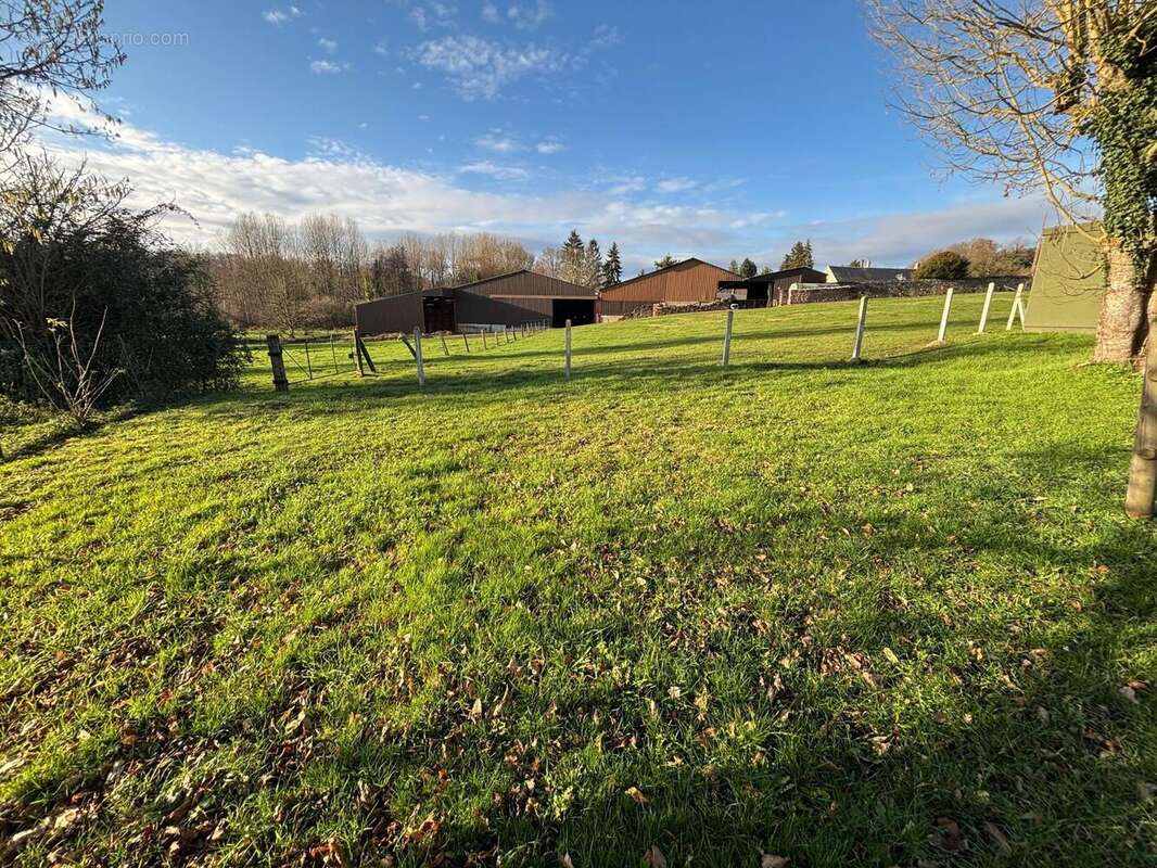 Photo 9 - Maison à VILLERS-COTTERETS