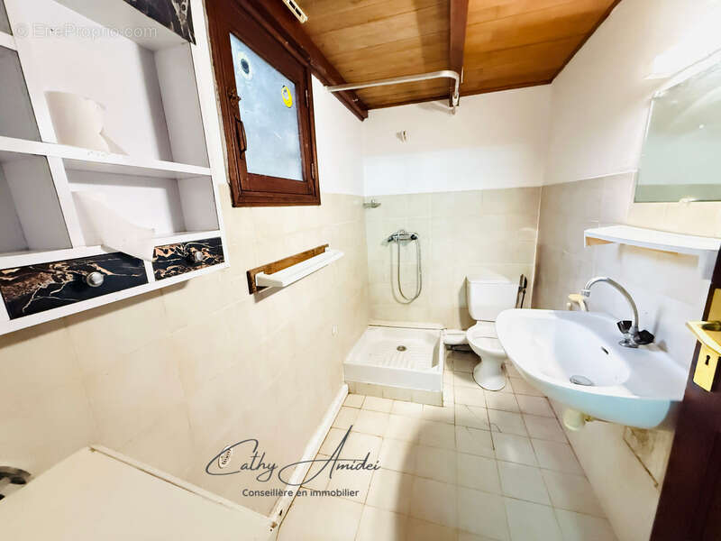 SAGONE (Corse) : Propriete à vendre, maison T4 + dépendance avec 2 appartements T1, sur terrain plat de 5000m2 - photo 15