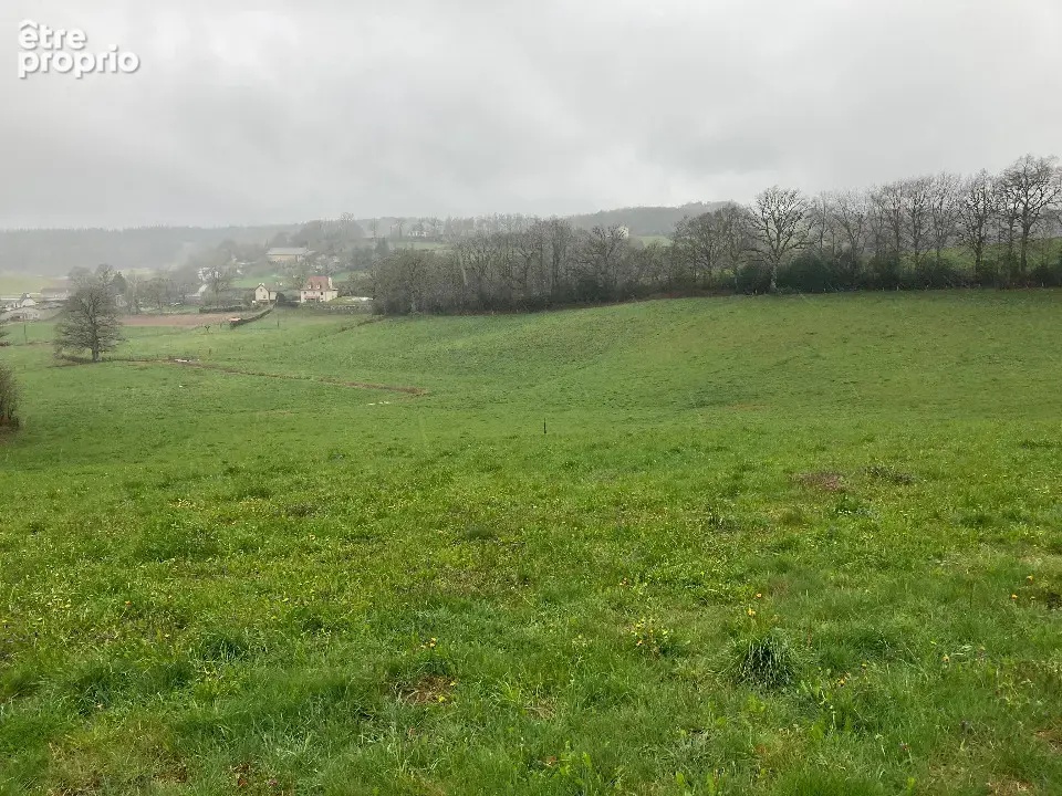 Terrain 1 160 m² à vendre à Lafeuillade-En-Vezie (15130) - photo 2
