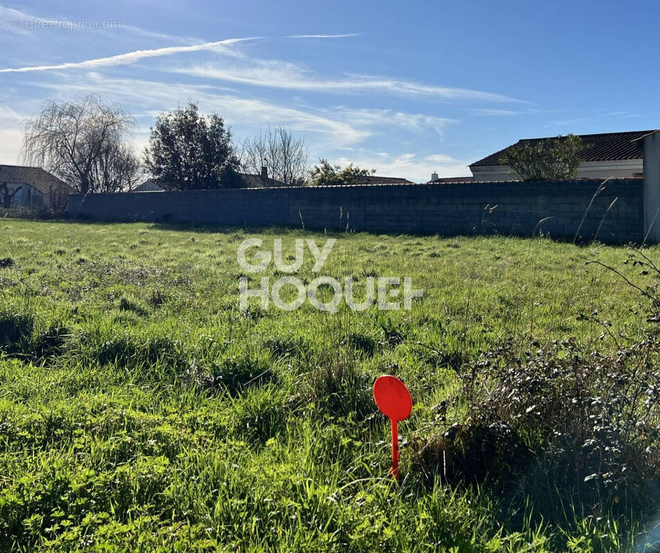 Terrain à SAINT-HILAIRE-DE-RIEZ