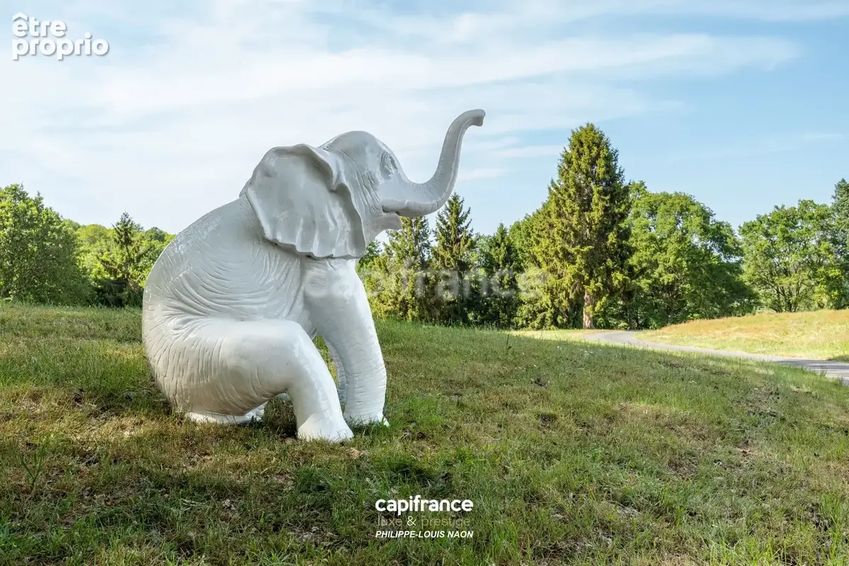 Quand le rêve devient réalité ! - photo 10