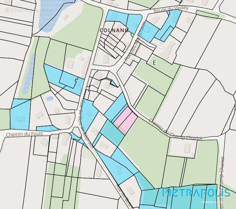 Terrain à SAINT-MARTIN-EN-BRESSE