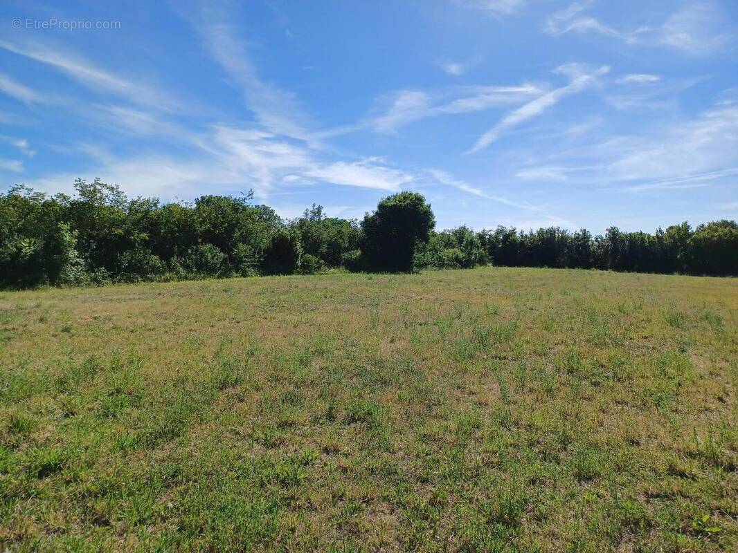 Terrain à LA ROCHELLE