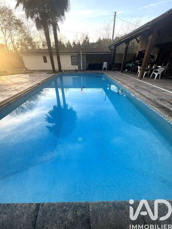 Photo 5 - Maison à SAINT-CRICQ-VILLENEUVE