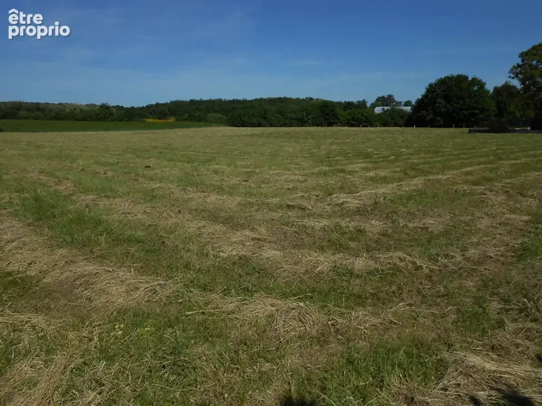 Terrain constructible de 6 760 m² ? ESMOULINS (70100) - photo 3