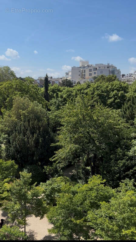 4/5 pièces Triple Exposition - 128 m2- Etag Elevé - SANS VIS A VIS - - photo 4