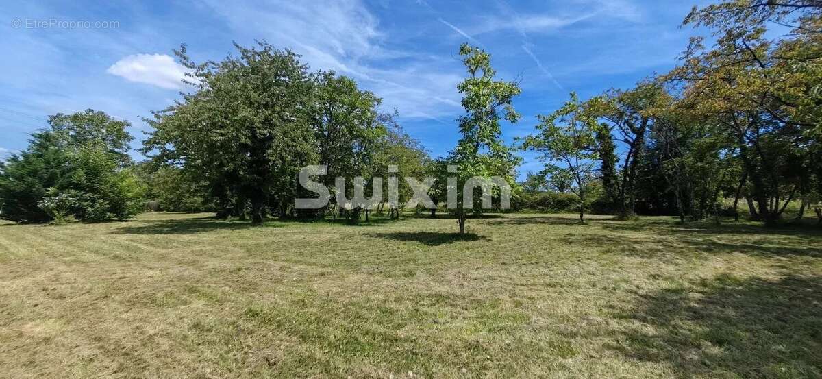 Terrain à CHAMPVANS
