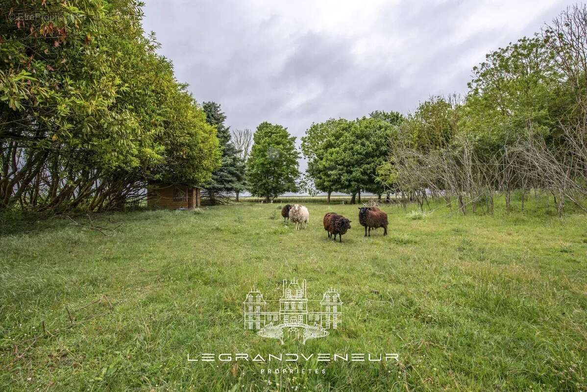 Maison à MALESHERBES