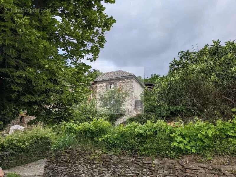 Maison à SAINT-ANDRE-DE-LANCIZE