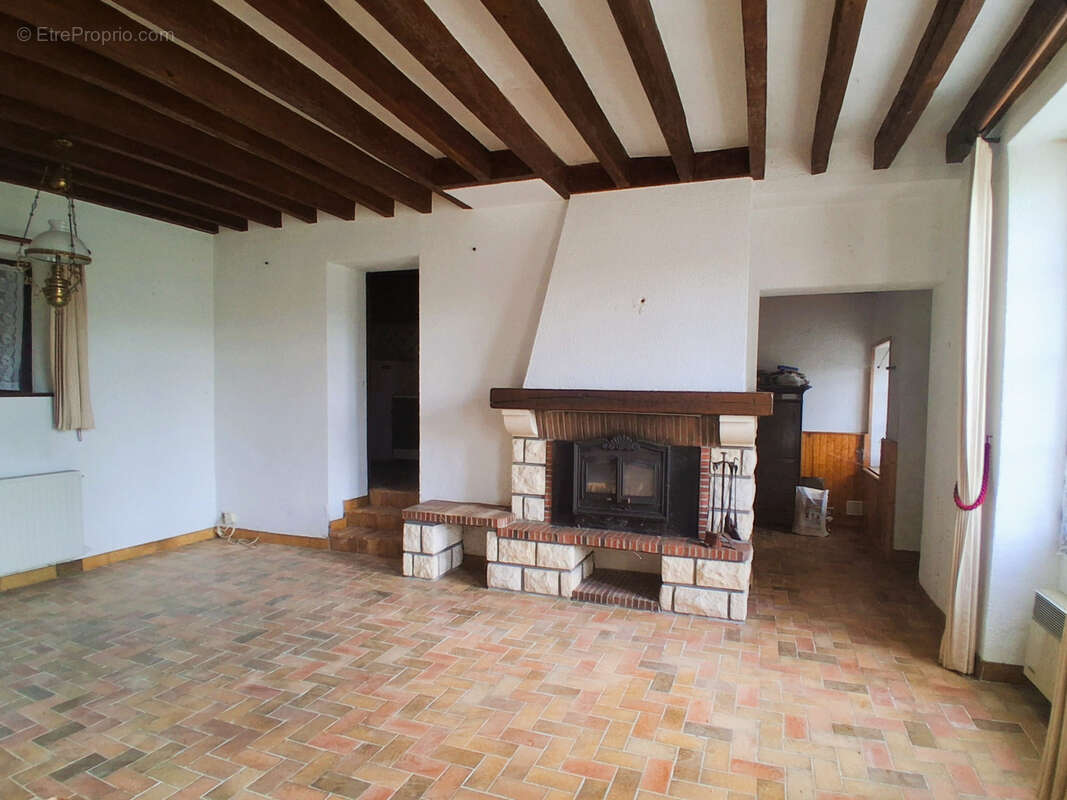 Maison à OUZOUER-SUR-TREZEE