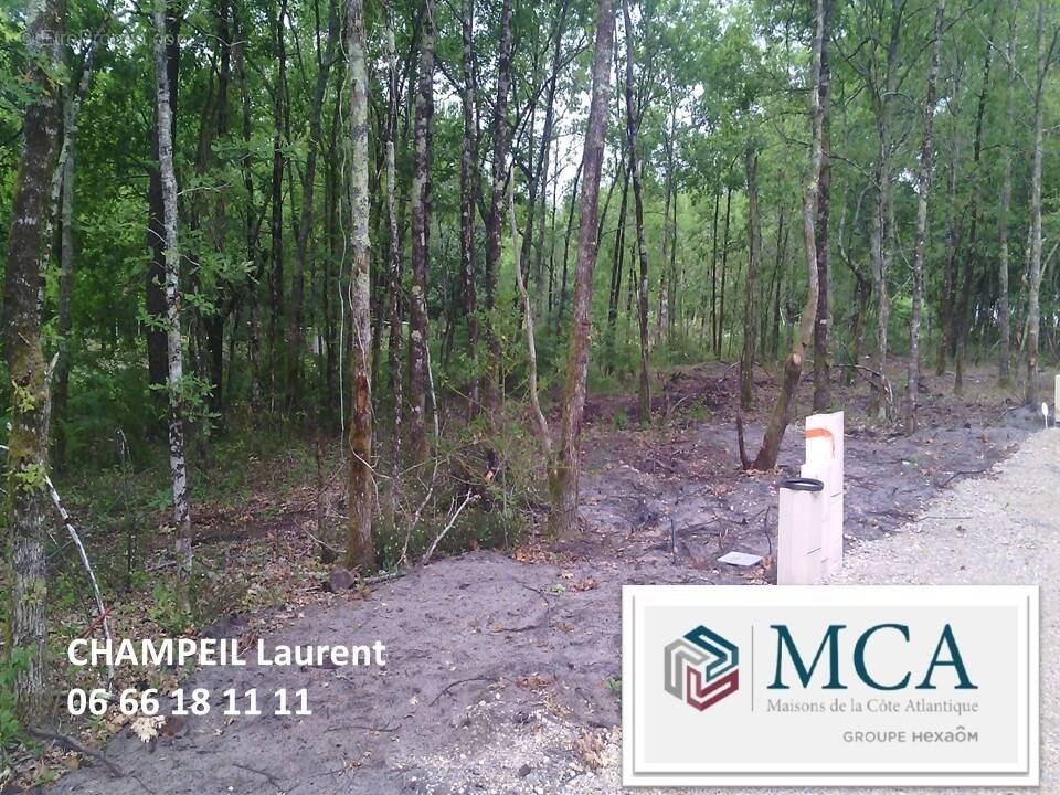 Photo Terrain à Salles au prix de 125 000€
