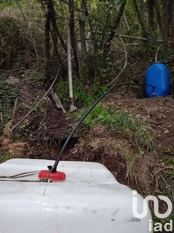 Photo 8 - Terrain à BREIL-SUR-ROYA