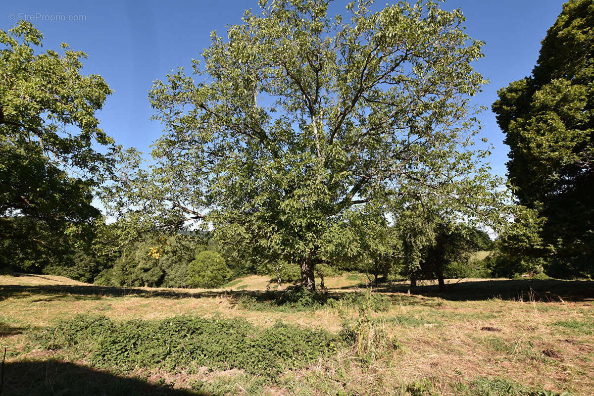 Maison à LE MAYET-DE-MONTAGNE