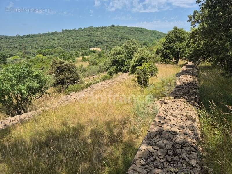 Maison à SAINT-JULIEN-LES-ROSIERS