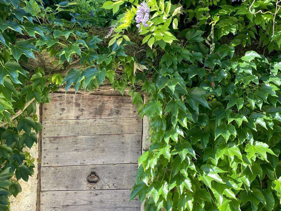 Maison de village au cœur d’un écrin gersois - photo 3