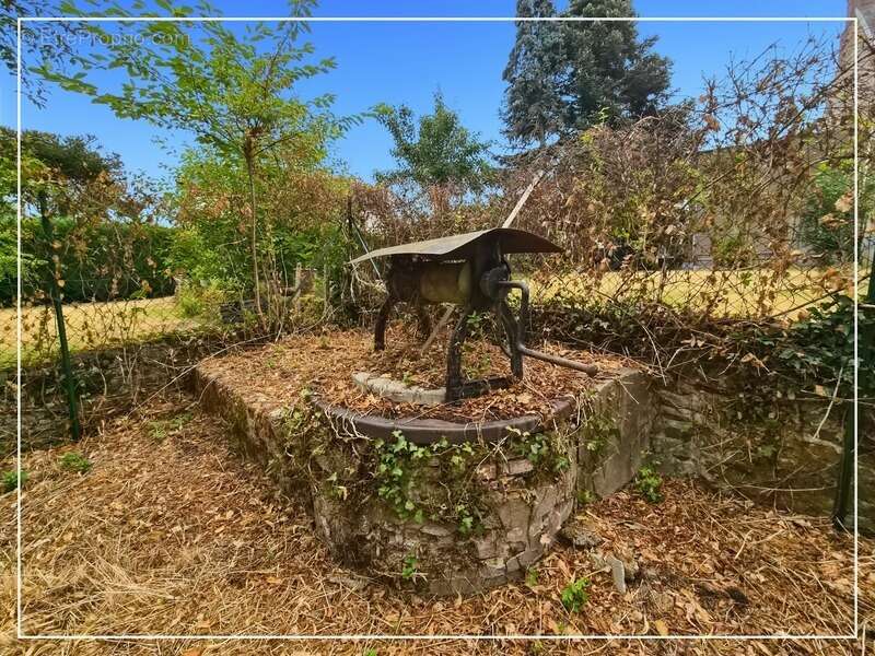Maison à vendre 8 pièces +  grange PREVERANGES (18) - photo 15