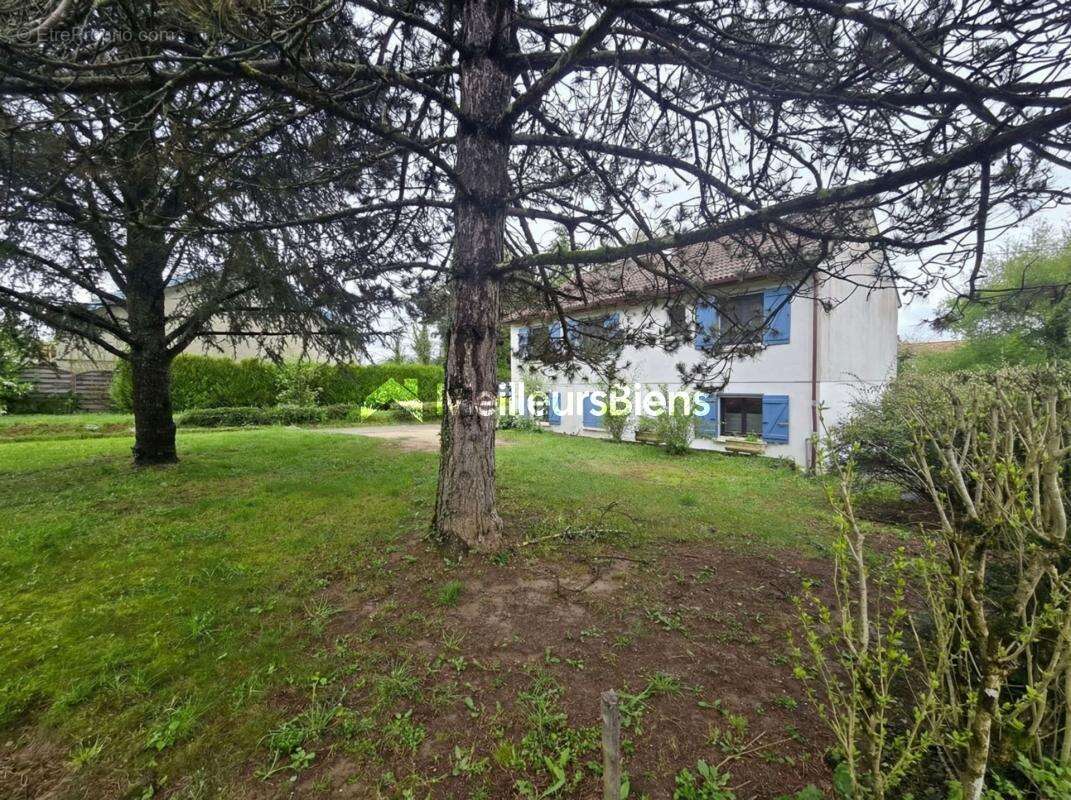 Maison à MAXILLY-SUR-SAONE