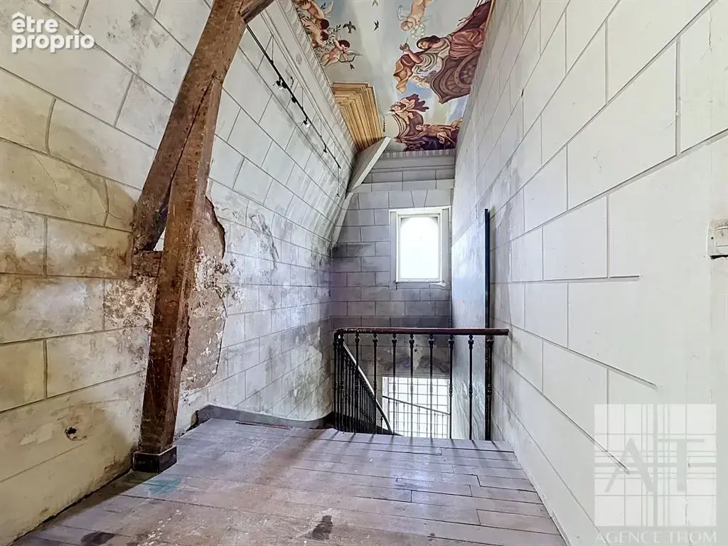 Château du Domaine avec parc de 4 084 m² - un projet de restauration unique! - photo 13