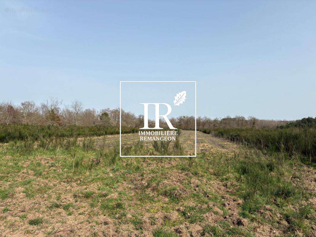 Sologne propriete de 103 ha - photo 8