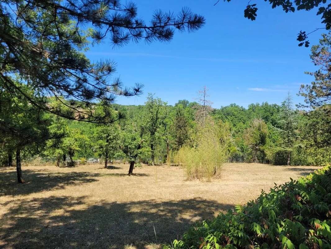 Belle maison familiale, avec piscine, dépendances et terrain de 1.7 ha - photo 15