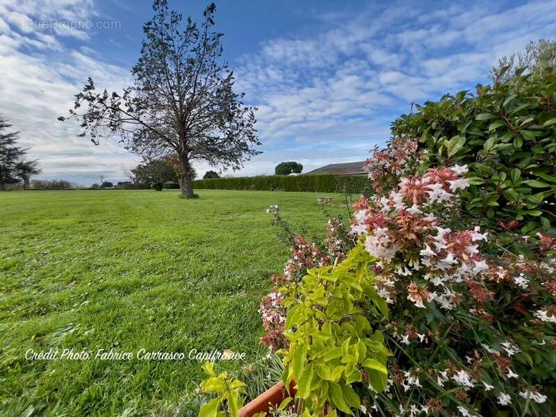 Maison à VARENNES-SUR-ALLIER