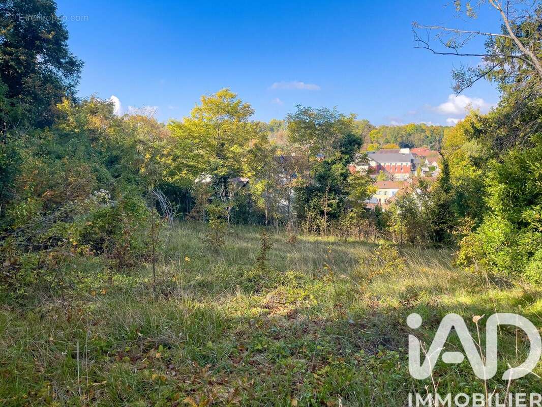 Photo 2 - Terrain à MAULE