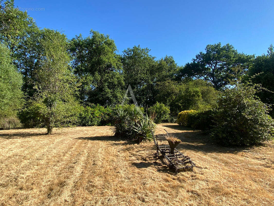 Propriété Sully La Chapelle 7 pièce(s) 224.66 m2 - photo 15