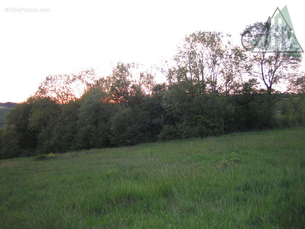 Terrain à BAGNEAUX