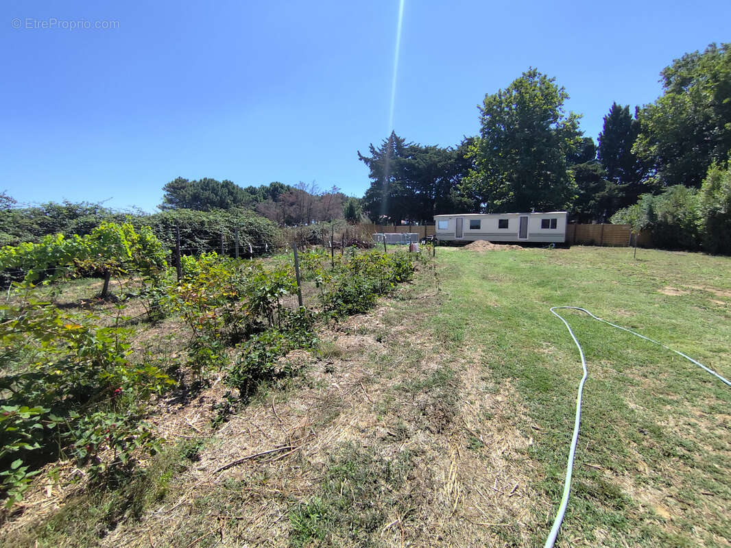 Terrain à SAINT-NAZAIRE