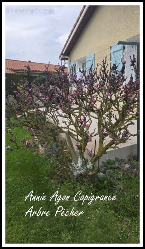 Maison à VILLECOMTAL-SUR-ARROS