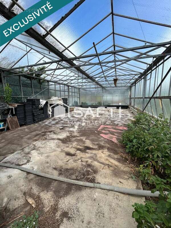 Photo 6 - Maison à SARRE-UNION