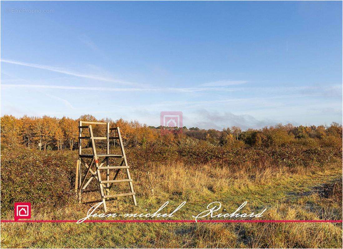 Terrain à COURMEMIN