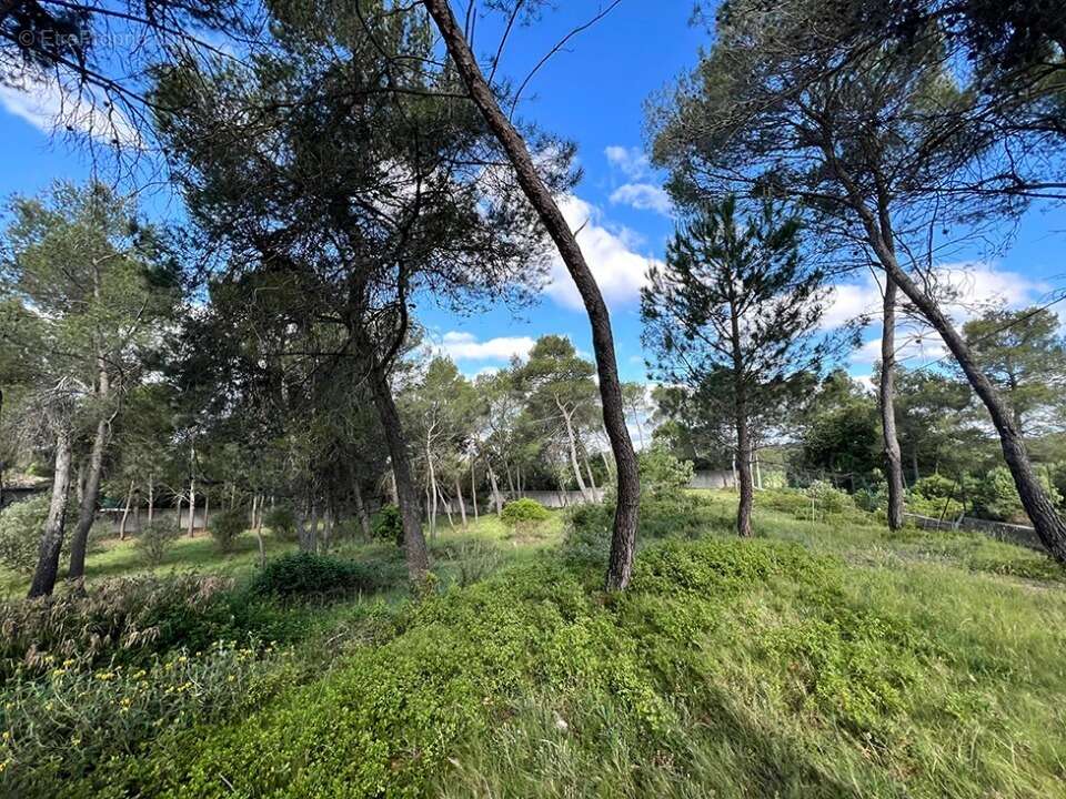Terrain 540 m² à Guzargues  - photo 3