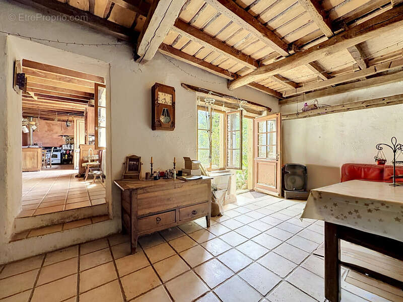 Grande maison de caractère - 356 m² sur terrain de 28 000m2 - Albon - photo 8