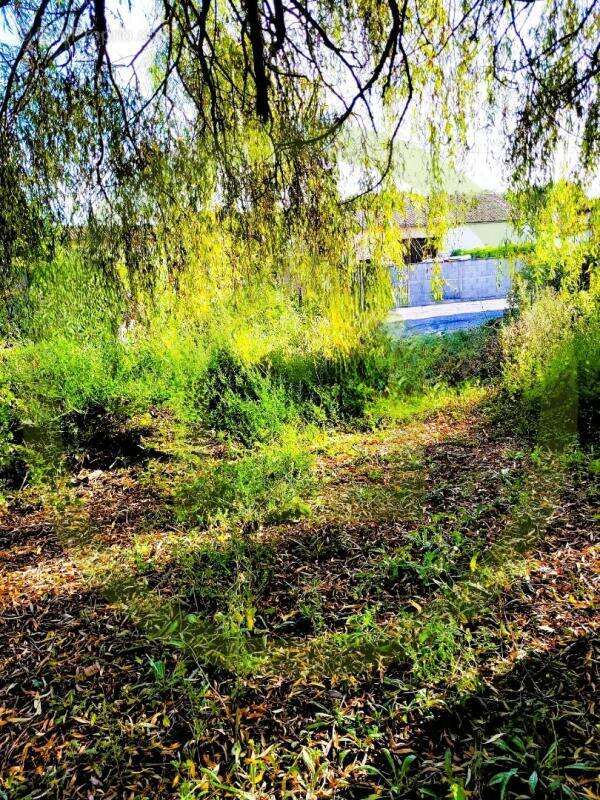 Maison à SAINT-THOMAS-DE-CONAC