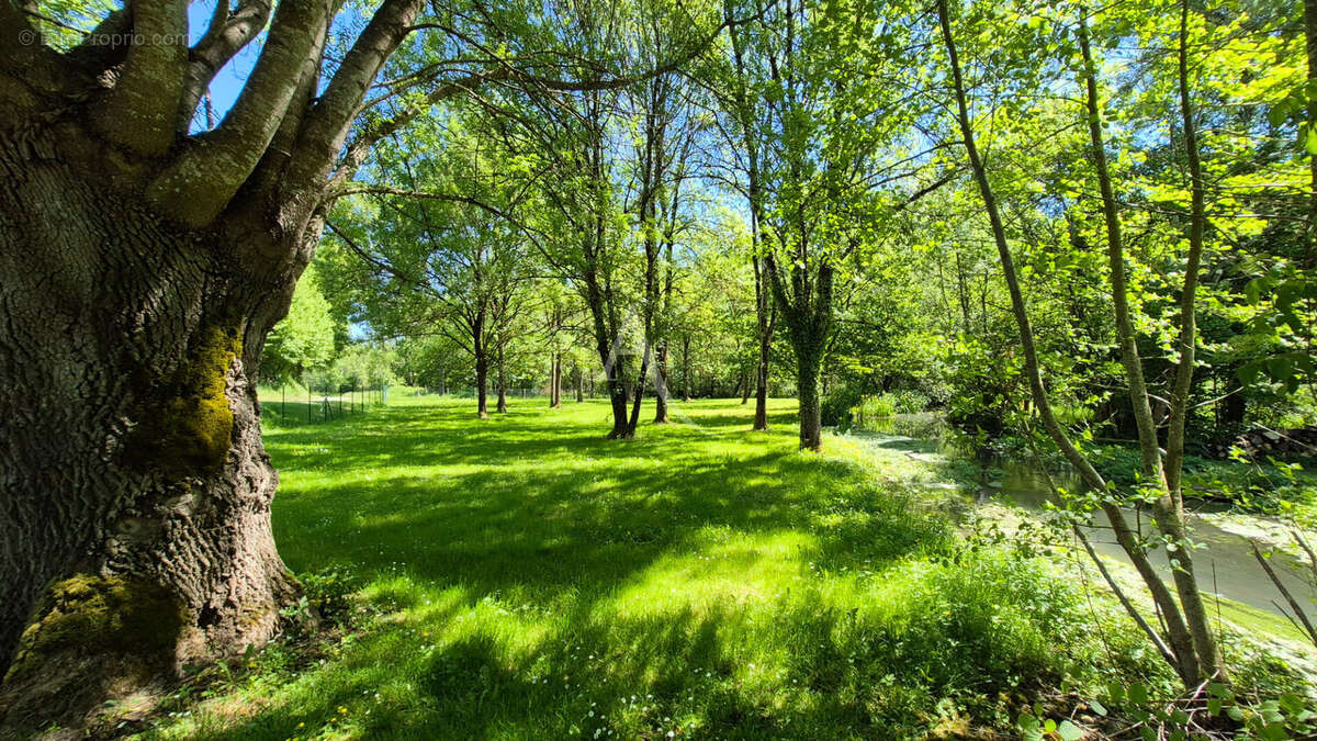 Maison à SAINT-HILAIRE-DE-VILLEFRANCHE