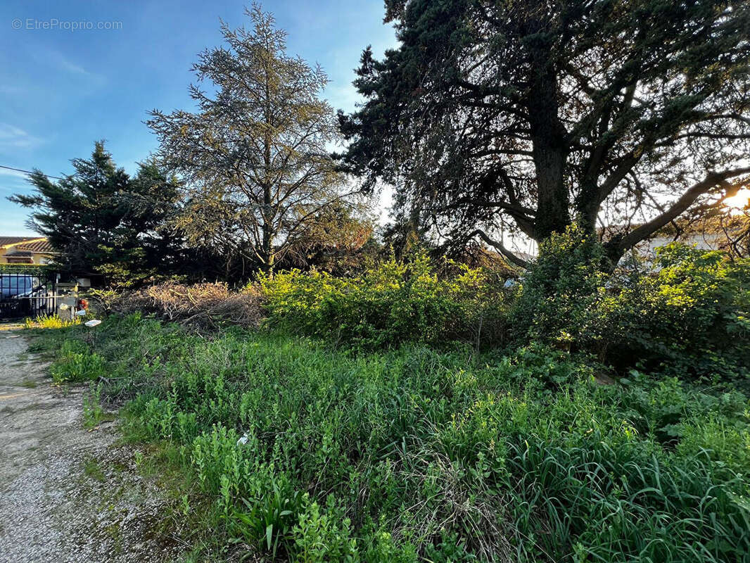 Terrain à CAVAILLON