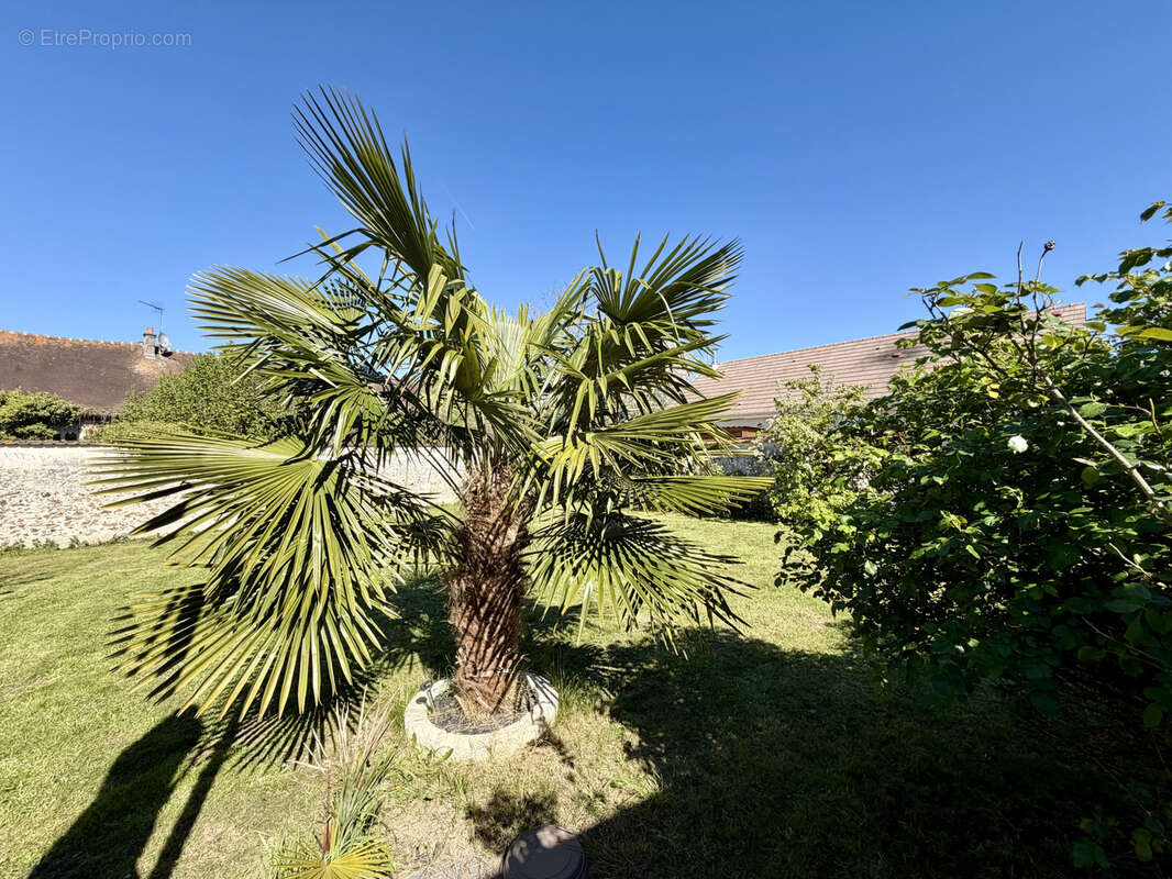 Maison à LA FERTE-SOUS-JOUARRE