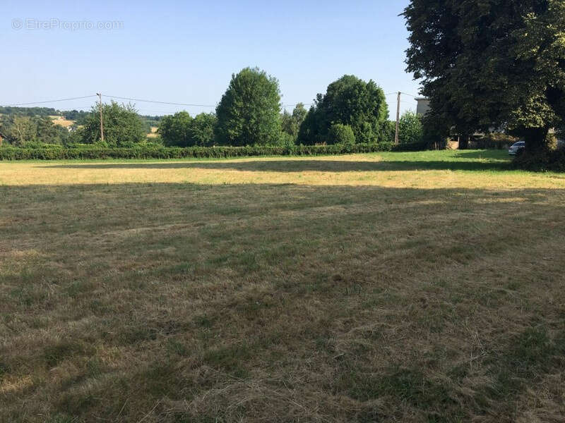 Terrain de 3 000 m2 - photo 3