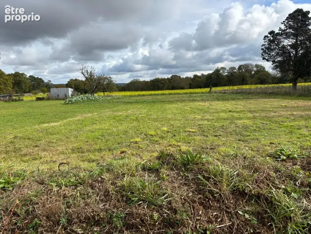 Terrain 1356 m2 - photo 2