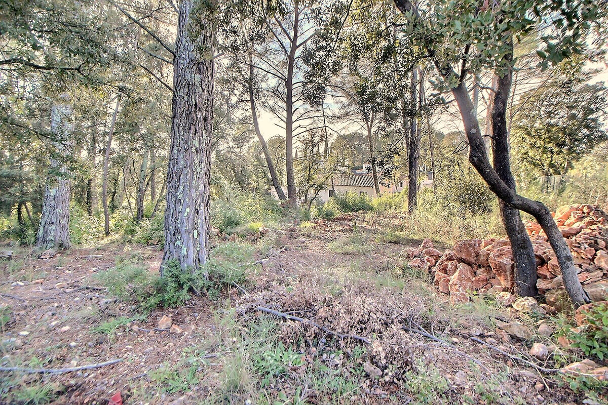 Terrain à TRANS-EN-PROVENCE