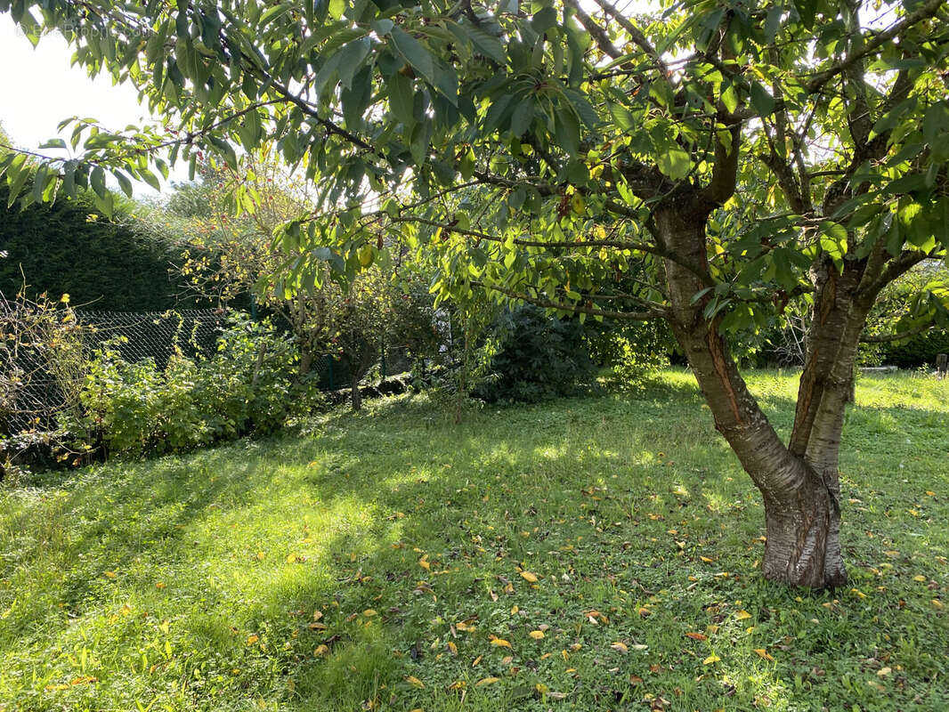 Maison à CROUY-EN-THELLE